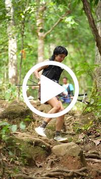 BIB:  <button type="button" onclick="openModal(27587832)" class="btn btn-primary btn-sm float-right" data-toggle="modal" data-target=".modal-high-quality">
                <i class="fa fa-download"></i> Download
                </button>